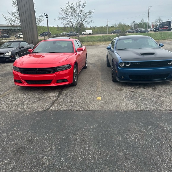 Meet your Posher, Renee - Picture 4 of 7